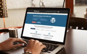 CMS WordPress