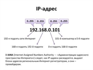 IP адрес сайта